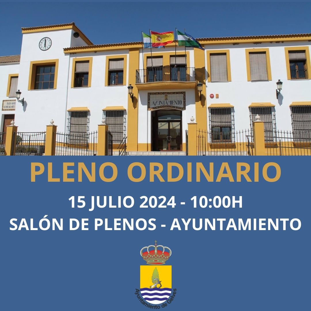 PLENO ORDINARIO 15 JULIO 2024