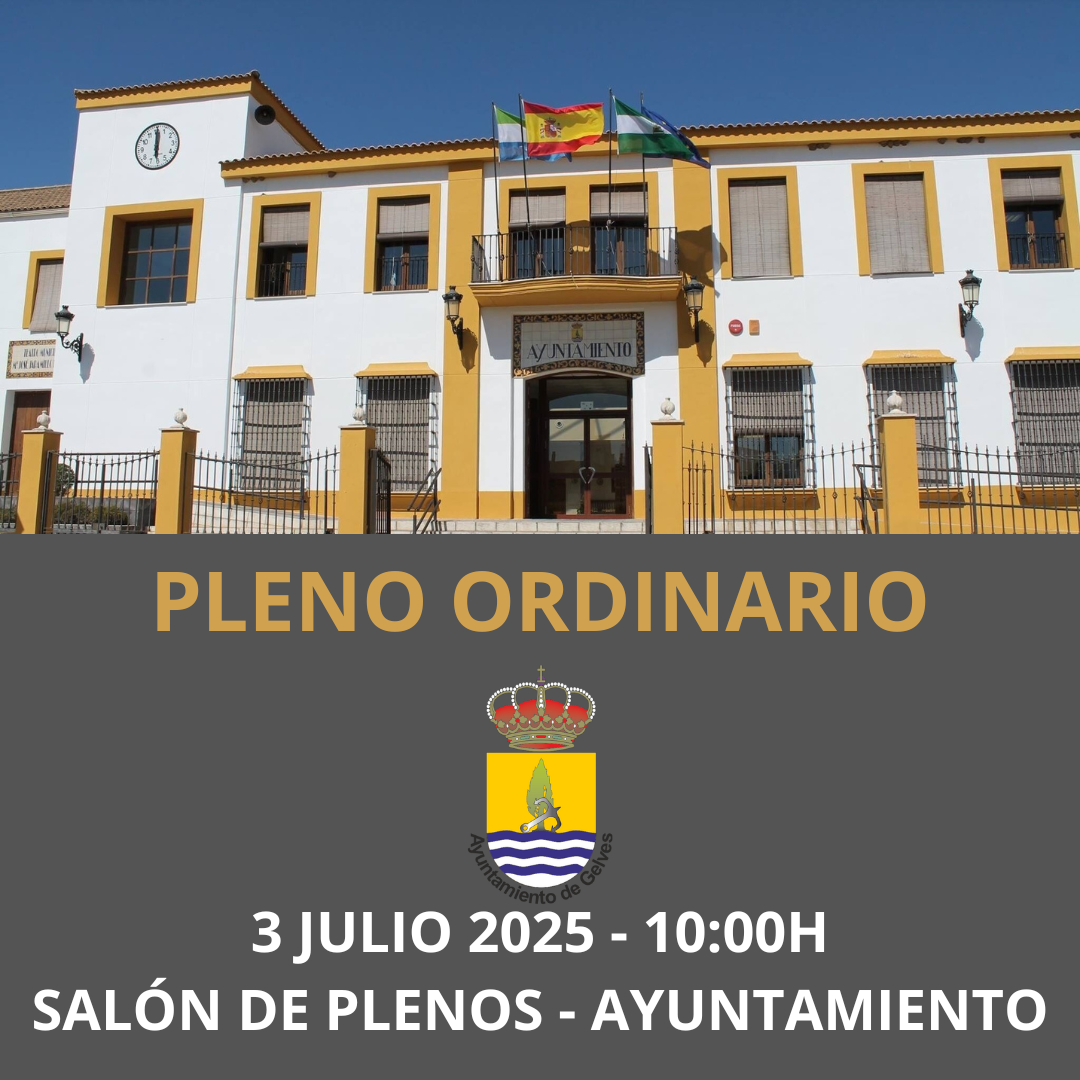 PLENO ORDINARIO 15 JULIO 2024