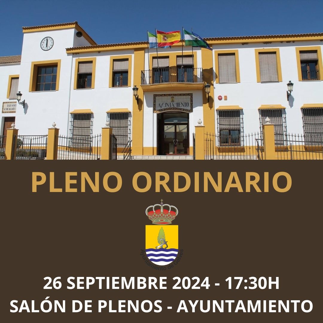 PLENO ORDINARIO 26 sept 2024