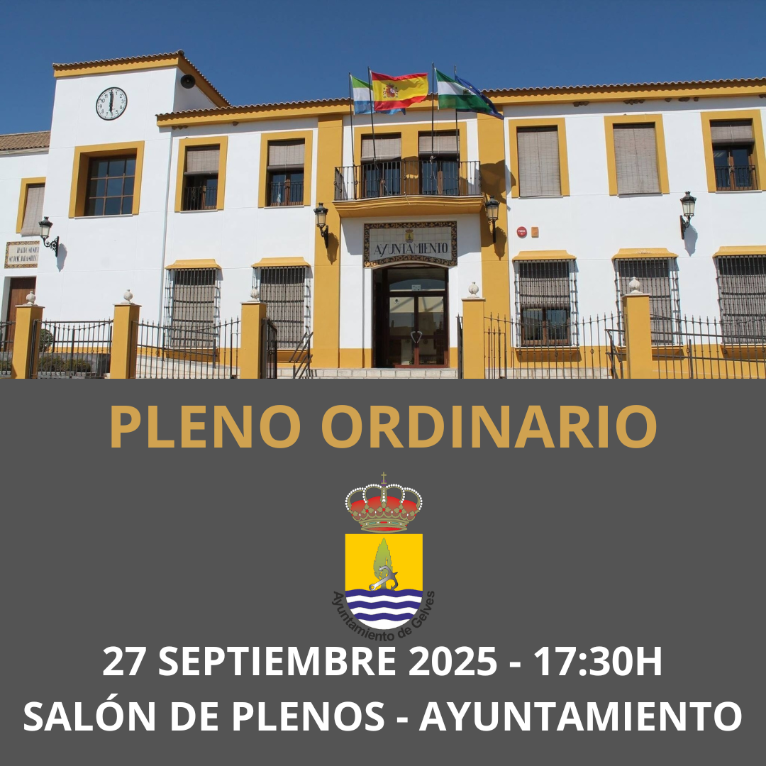 PLENO ORDINARIO 27 noviembre 2025