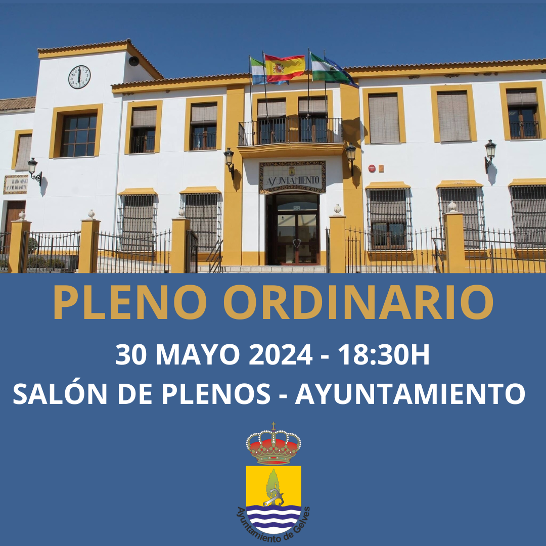 PLENO ORDINARIO 30 MAYO 24