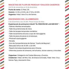 PROGRAMA NAVIDAD-03(1)