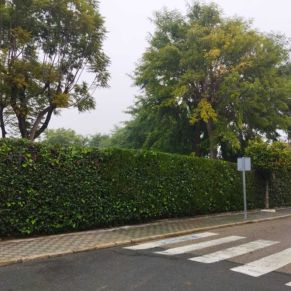 SETO POLIDEPORTIVO 1