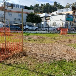 SIEMBRA COLE DUQUES 2