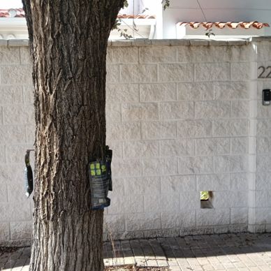 TRATAMIENTOS fresnos 3