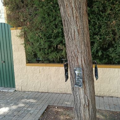 TRATAMIENTOS fresnos