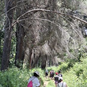 a0f023a7-56f0-4687-8551-76e893e1c34e