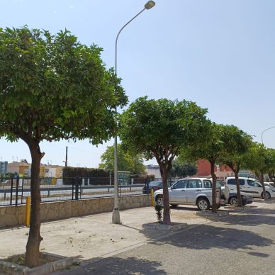 a906090a-20b2-4ae5-a4c0-2a1edad7288b