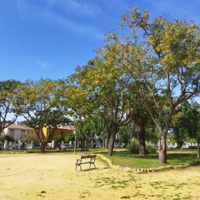 abierto parque juventud 25 octubre-4