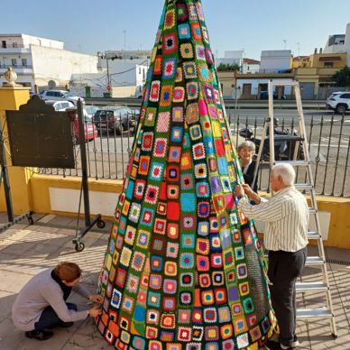 arbol gelves teje 2024-2