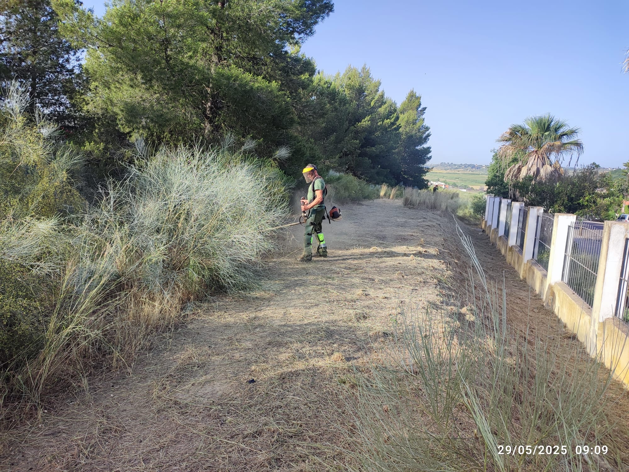 b581eb4d-26d4-482a-a95a-fc1afedea1ae