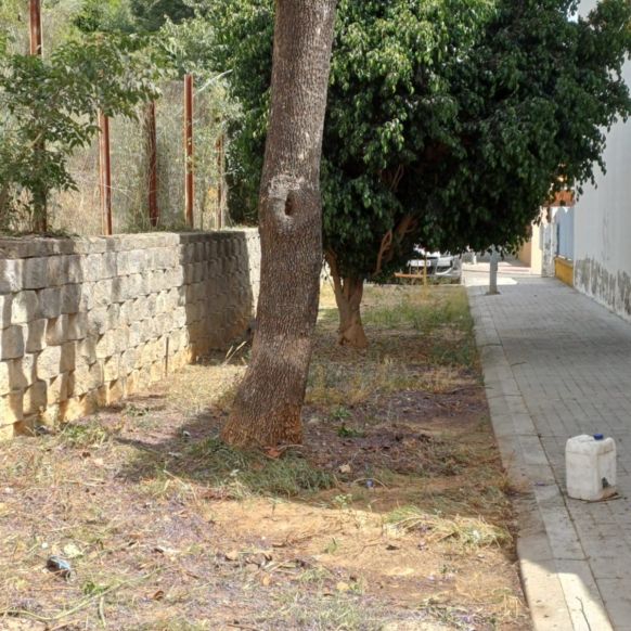 c4d71218-3c07-4352-a06b-cff79ac9e499