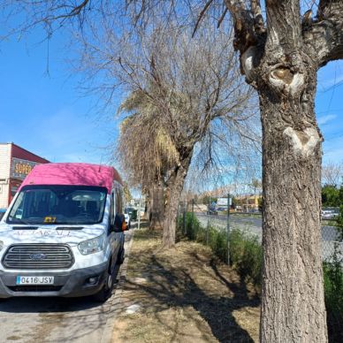 calle almeria jardineria 2