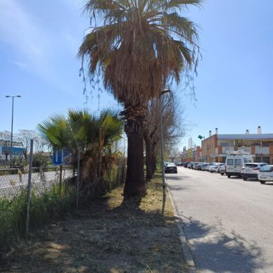 calle almeria jerdineria 1
