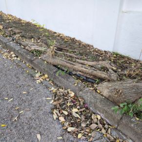 calle guadalimar acerados