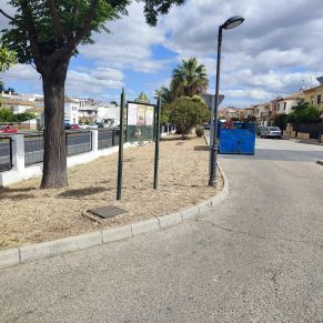 calle lima jardineria 2