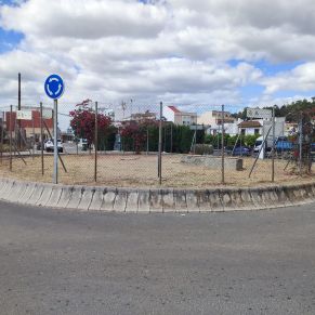 calle lima jardineria 4