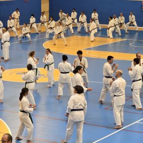 curso nacional karate gelves 0ct 24 - deportistas accion
