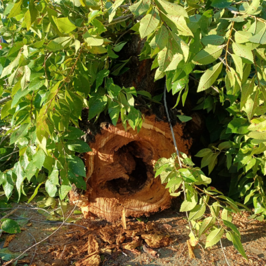 d581ec12-bfd7-4850-8bd3-6945392a03b4