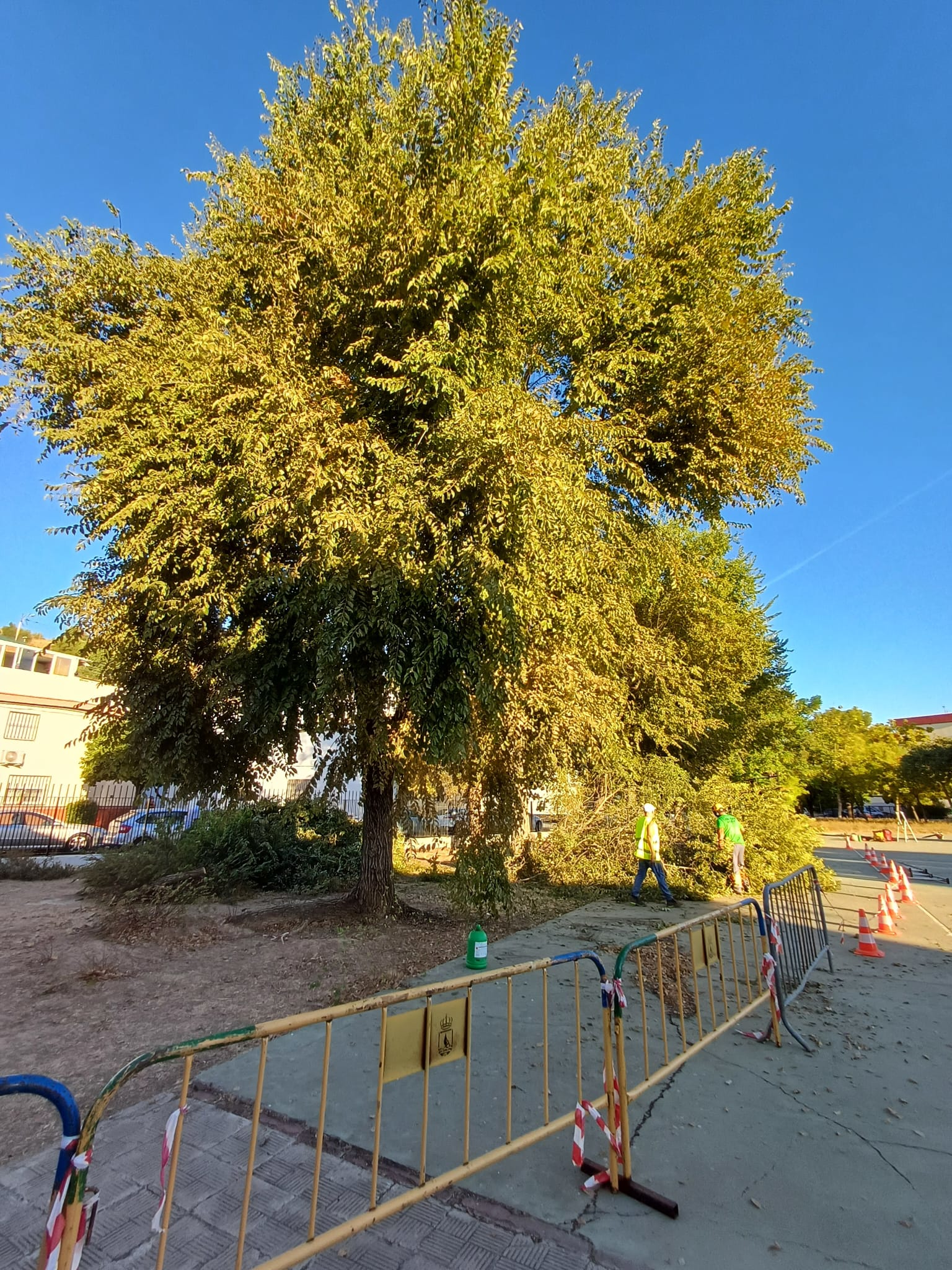 dc344aee-fcc3-4923-bd78-078a1152b2d1