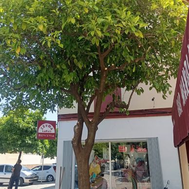 e12d7670-2ad4-45c7-b476-64eaa4194c23