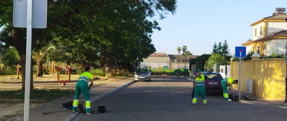 e9c44049-202f-4774-8c14-cfdbfcd0920f