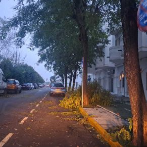 efectos termporal bernard octubre 23 14