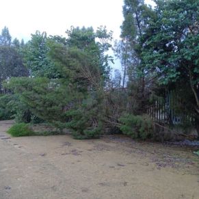 efectos termporal bernard octubre 23 7