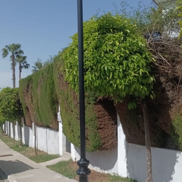 electricidad mayo 2025 -calle brasil