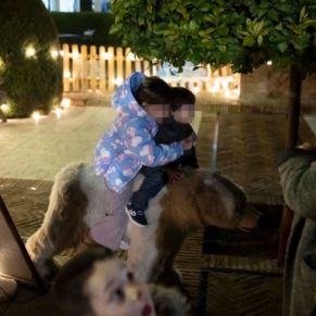 encendido alumbrado gelves 5 dic 2025 24P