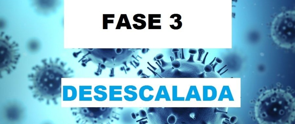 fase 3 base