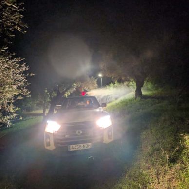 fumigacion mosquito nilo gelves nov 25-01