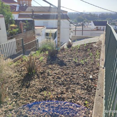 jardineria escaleras cementerio