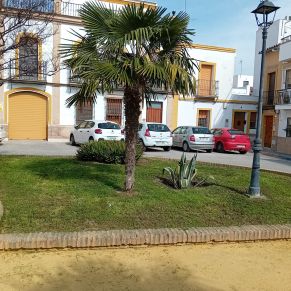 jardineria febrero 25  3