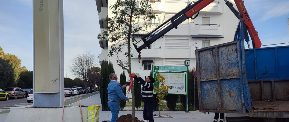 jardineria febrero 25  5