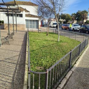 jardineria febrero 25  arr1