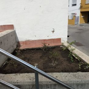 jardineria febrero 25  e1