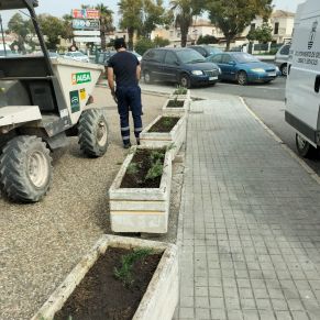 jardineria febrero 25  m1