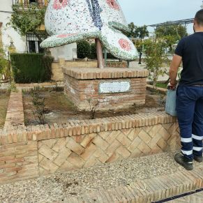 jardineria febrero 25  p0