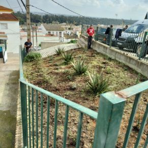 jardineria febrero 25  p6