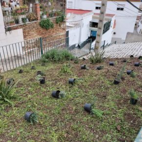 jardineria febrero 25  p7