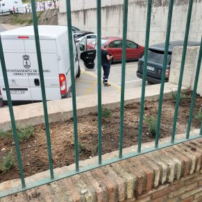 jardineria febrero 25  p8