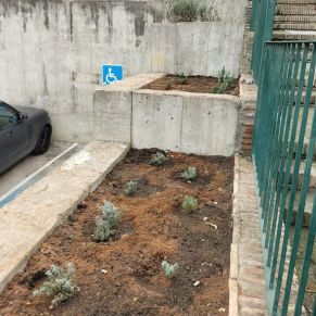 jardineria febrero 25  p9