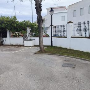 jardineria febrero 25  pis2