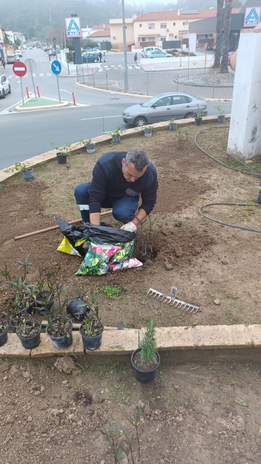 jardineria febrero 25  r1