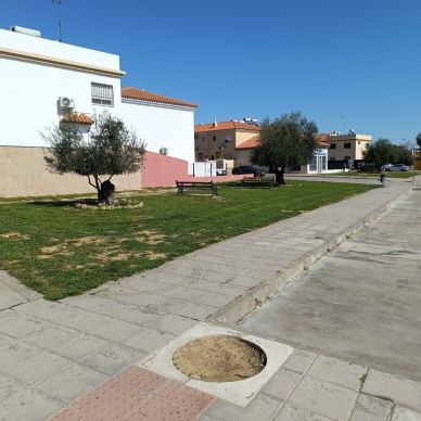 jardineria hacienda s verde 3