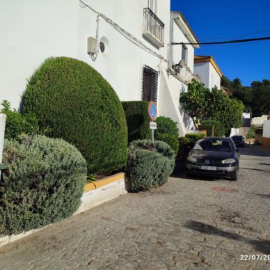 jardineria iglesia 2