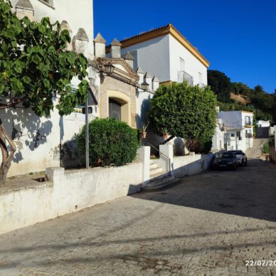 jardineria iglesia 3