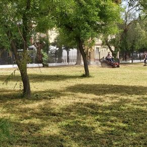 jardineria mayo 2024 -3