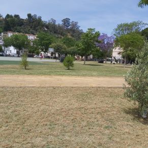 jardineria mayo 2024 -4